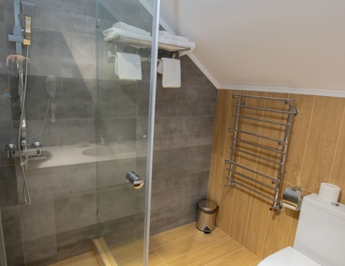 Люкс-Комфорт люкс-комфорт - Санаторий «Вилла Арнест» Кисловодск