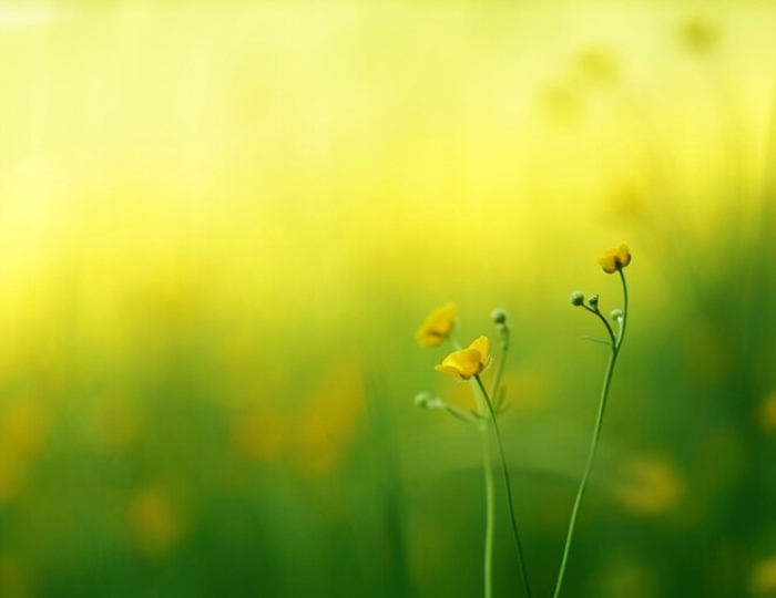 Заболевания опорно-двигательного аппарата - Санаторий «Вилла Арнест» Кисловодск