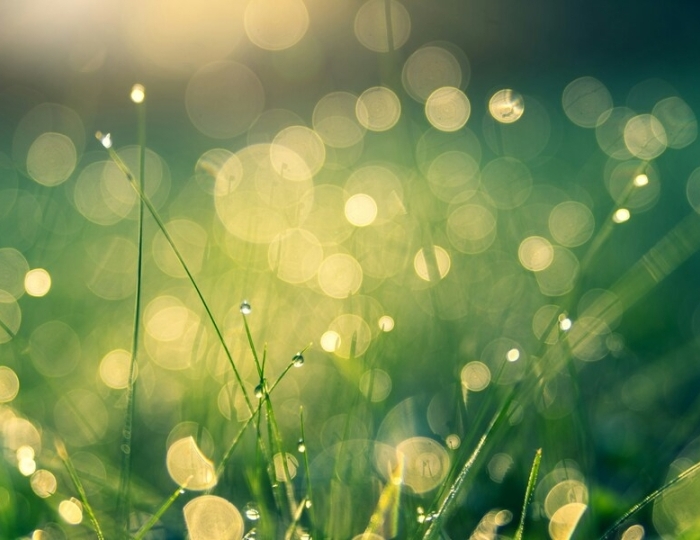 Общетерапевтическая - Лечебные программы - Санаторий «Вилла Арнест» Кисловодск