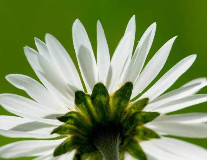 Антистресс - Лечебные программы - Санаторий «Вилла Арнест» Кисловодск