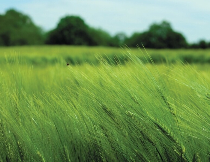 Оздоровительная - Лечебные программы - Санаторий «Вилла Арнест» Кисловодск